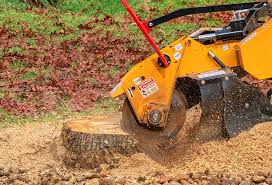 Best Stump Grinding and Removal  in Apple Valley, CA
